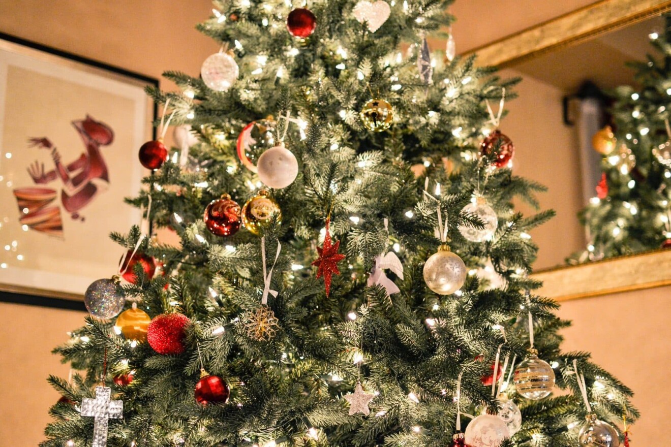 By New Year's Day, when the needles start dropping and it's time to clean out the family room, what will you do with your Christmas tree? (Evelyn/Unsplash)